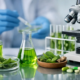 Natural Extract Drug Discovery Process Explained